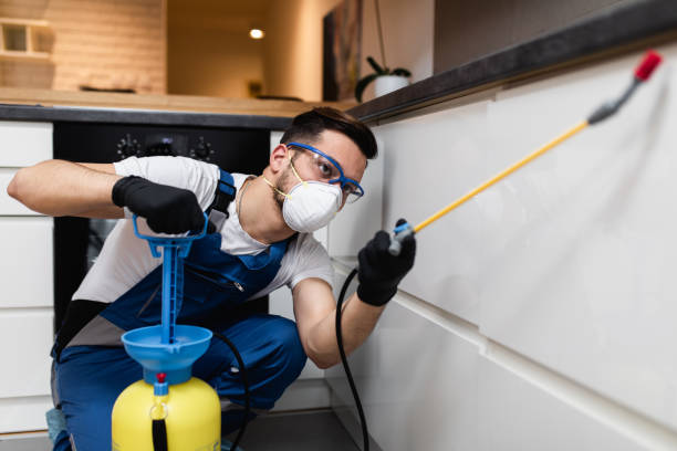 Best Pest Inspection Near Me  in Soldotna, AK