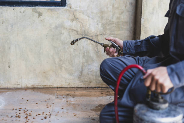 Professional Pest Control in Soldotna, AK